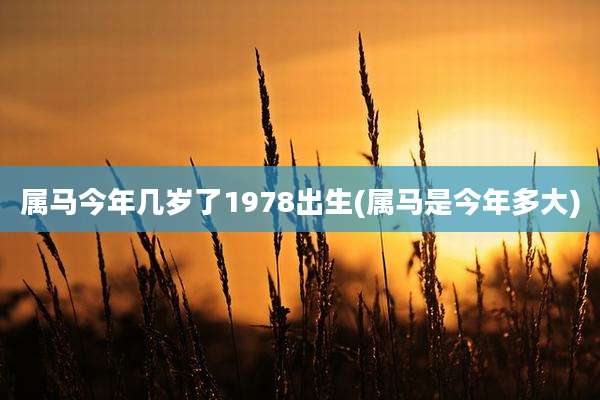 属马今年几岁了1978出生(属马是今年多大)