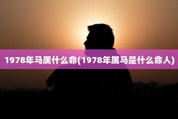 1978年马属什么命(1978年属马是什么命人)