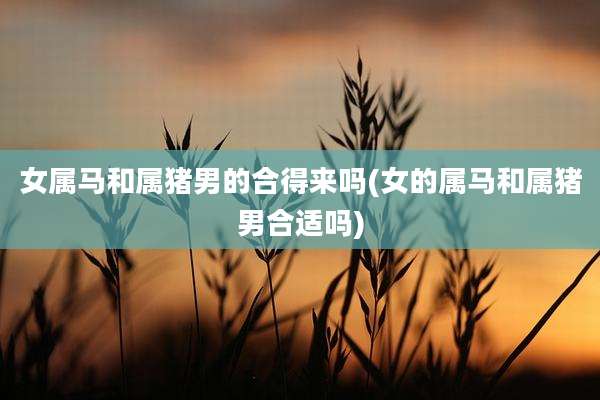 女属马和属猪男的合得来吗(女的属马和属猪男合适吗)