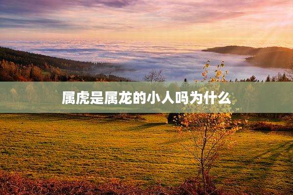 属虎是属龙的小人吗为什么