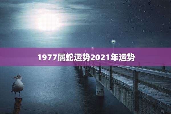 1977属蛇运势2021年运势