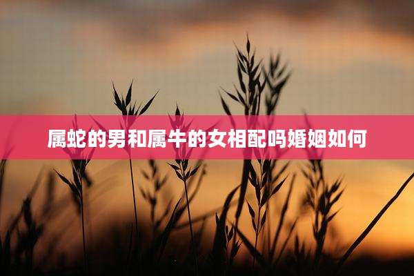 属蛇的男和属牛的女相配吗婚姻如何