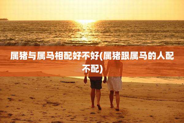属猪与属马相配好不好(属猪跟属马的人配不配)