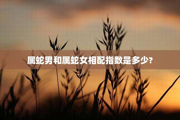 属蛇男和属蛇女相配指数是多少?