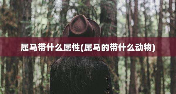 属马带什么属性(属马的带什么动物)