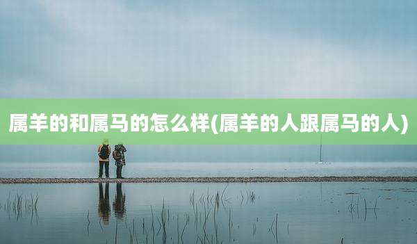 属羊的和属马的怎么样(属羊的人跟属马的人)