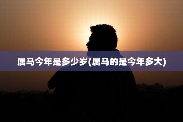 属马今年是多少岁(属马的是今年多大)