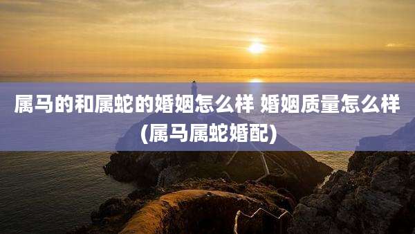 属马的和属蛇的婚姻怎么样 婚姻质量怎么样(属马属蛇婚配)