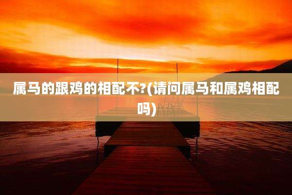 属马的跟鸡的相配不?(请问属马和属鸡相配吗)