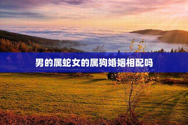 男的属蛇女的属狗婚姻相配吗