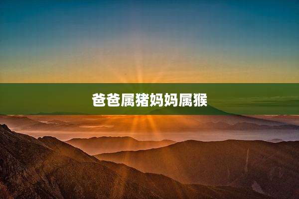 爸爸属猪妈妈属猴