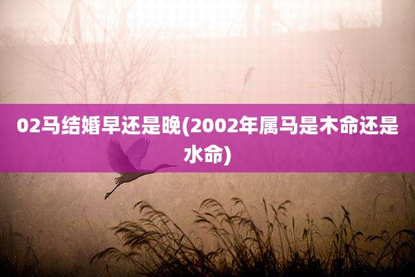 02马结婚早还是晚(2002年属马是木命还是水命)
