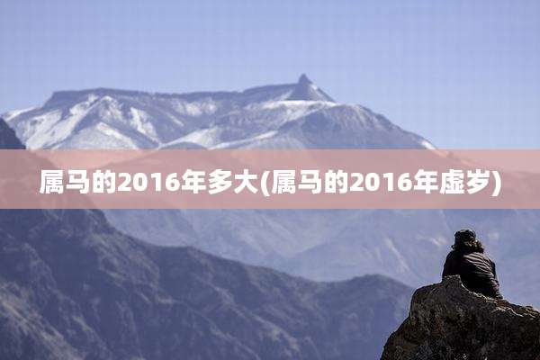 属马的2016年多大(属马的2016年虚岁)