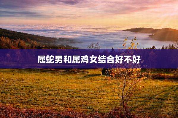属蛇男和属鸡女结合好不好