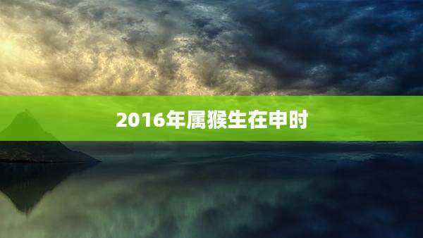 2016年属猴生在申时