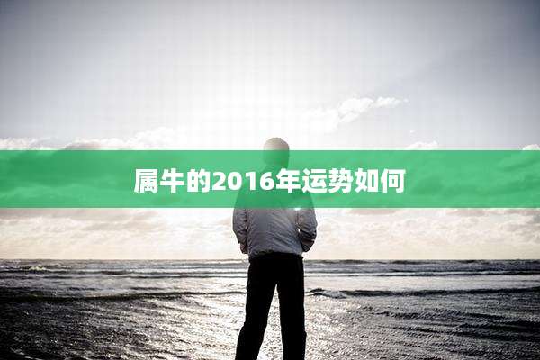 属牛的2016年运势如何