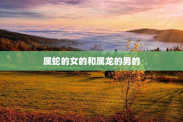 属蛇的女的和属龙的男的