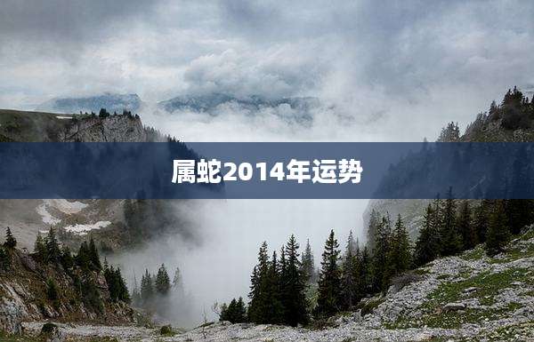属蛇2014年运势