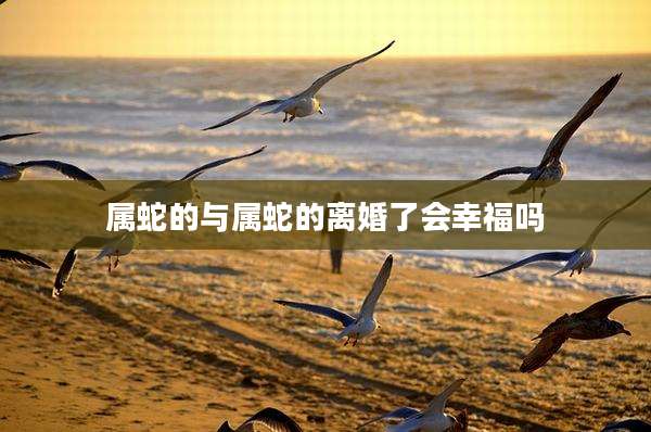 属蛇的与属蛇的离婚了会幸福吗