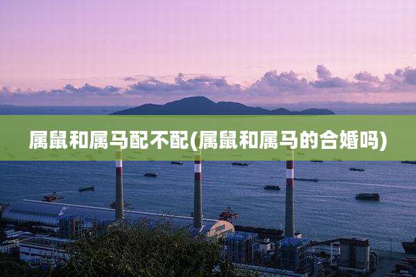 属鼠和属马配不配(属鼠和属马的合婚吗)
