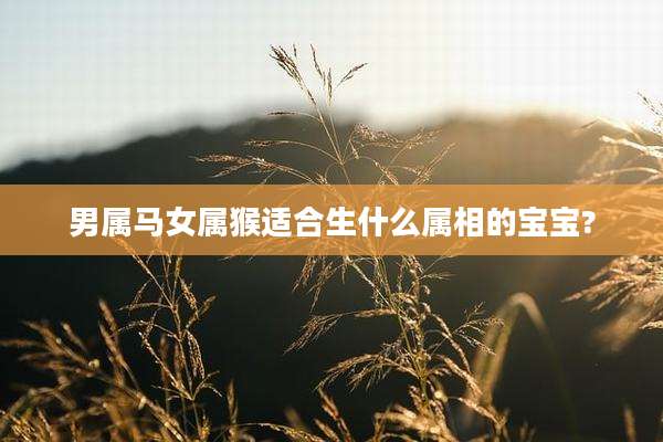 男属马女属猴适合生什么属相的宝宝?