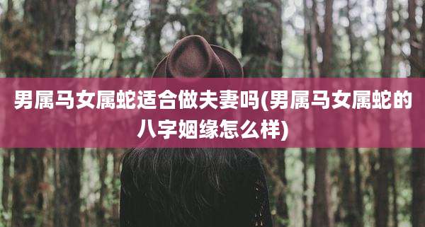 男属马女属蛇适合做夫妻吗(男属马女属蛇的八字姻缘怎么样)