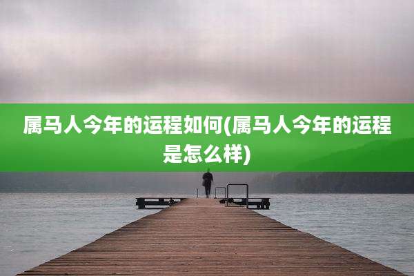 属马人今年的运程如何(属马人今年的运程是怎么样)