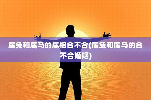属兔和属马的属相合不合(属兔和属马的合不合婚姻)
