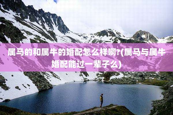 属马的和属牛的婚配怎么样啊?(属马与属牛婚配能过一辈子么)