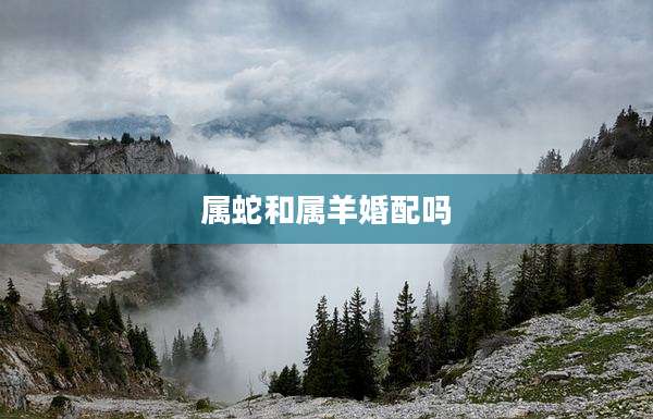 属蛇和属羊婚配吗