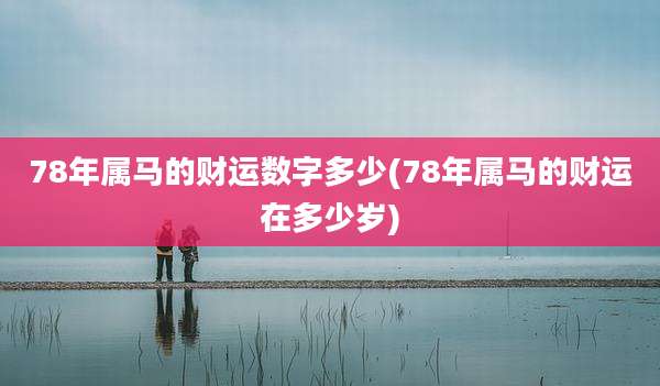 78年属马的财运数字多少(78年属马的财运在多少岁)