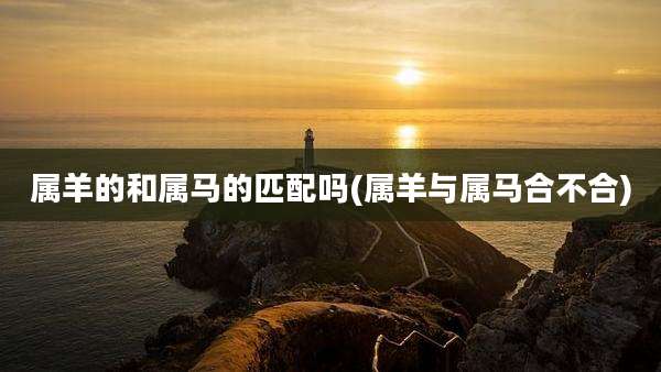 属羊的和属马的匹配吗(属羊与属马合不合)