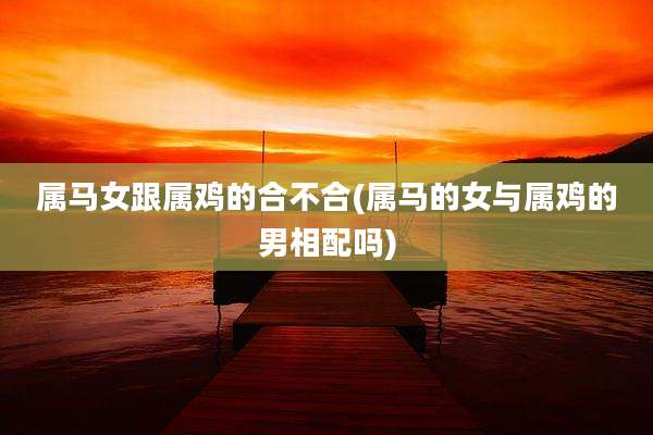 属马女跟属鸡的合不合(属马的女与属鸡的男相配吗)