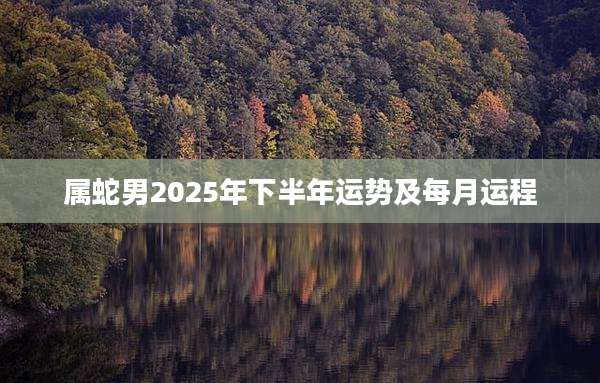 属蛇男2025年下半年运势及每月运程