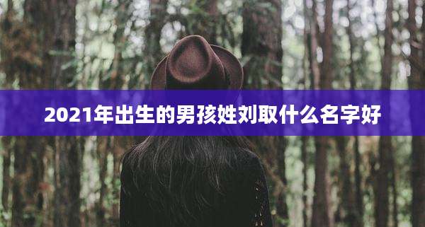 2021年出生的男孩姓刘取什么名字好