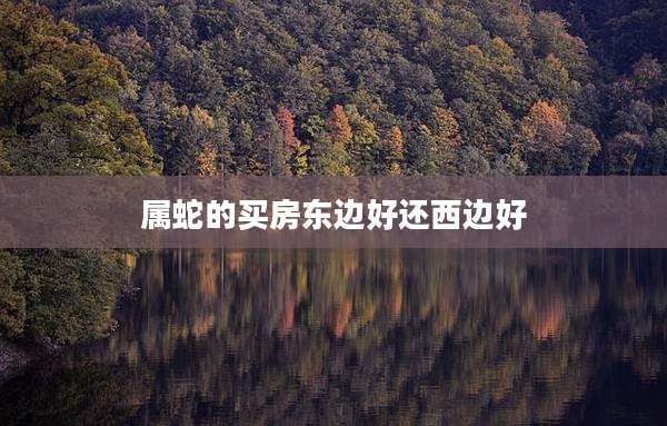 属蛇的买房东边好还西边好