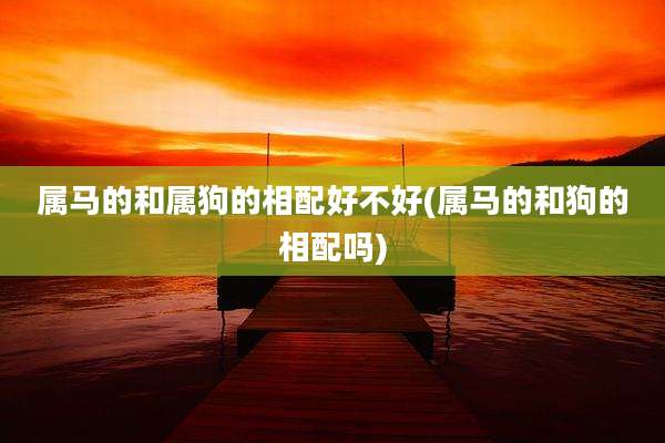 属马的和属狗的相配好不好(属马的和狗的相配吗)
