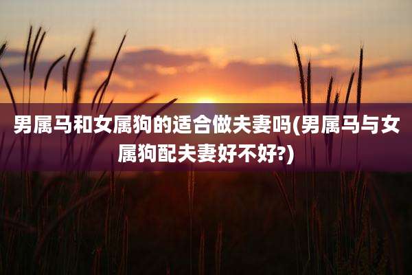 男属马和女属狗的适合做夫妻吗(男属马与女属狗配夫妻好不好?)