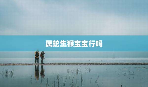 属蛇生猴宝宝行吗