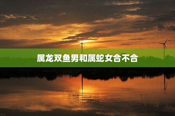 属龙双鱼男和属蛇女合不合