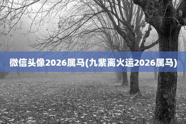 微信头像2026属马(九紫离火运2026属马)