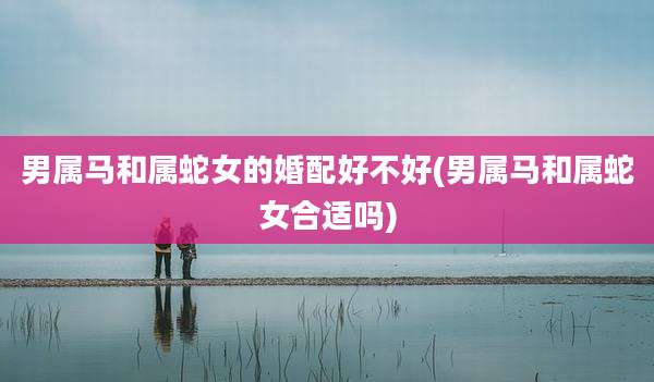 男属马和属蛇女的婚配好不好(男属马和属蛇女合适吗)