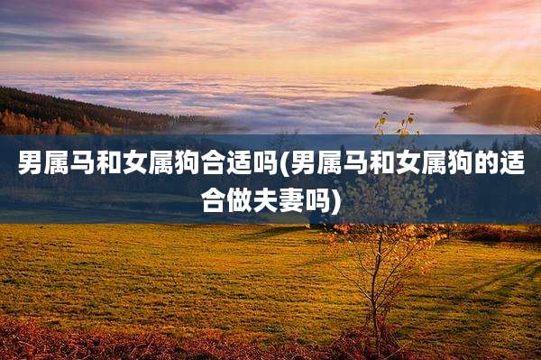 男属马和女属狗合适吗(男属马和女属狗的适合做夫妻吗)