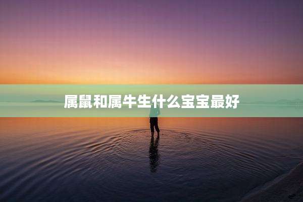 属鼠和属牛生什么宝宝最好