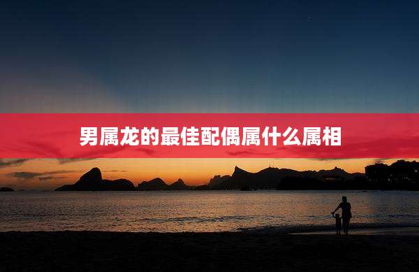 男属龙的最佳配偶属什么属相