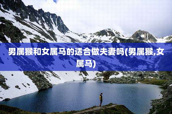 男属猴和女属马的适合做夫妻吗(男属猴,女属马)