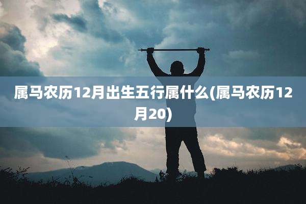 属马农历12月出生五行属什么(属马农历12月20)