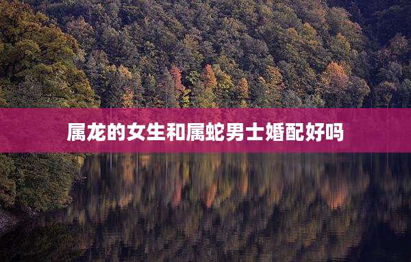 属龙的女生和属蛇男士婚配好吗