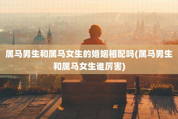 属马男生和属马女生的婚姻相配吗(属马男生和属马女生谁厉害)