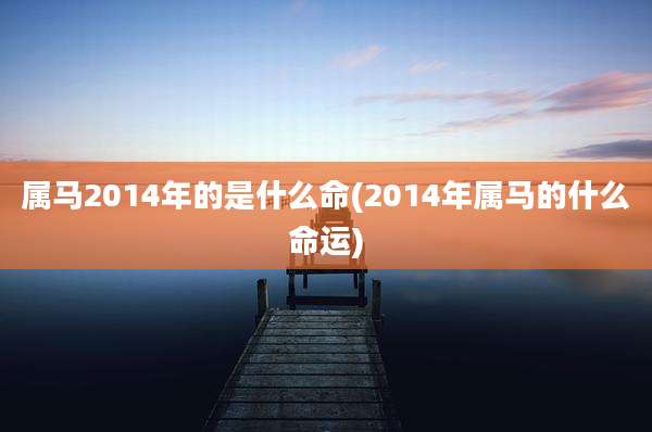 属马2014年的是什么命(2014年属马的什么命运)